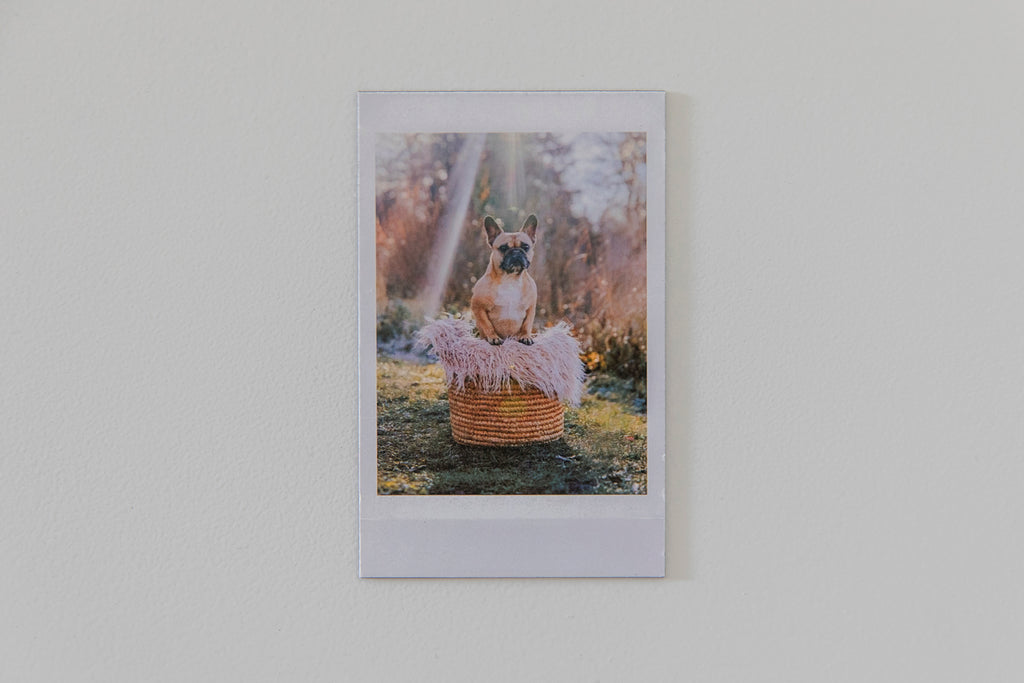 Personalisierte Foto-Magnete im Retro-Polaroid-Look