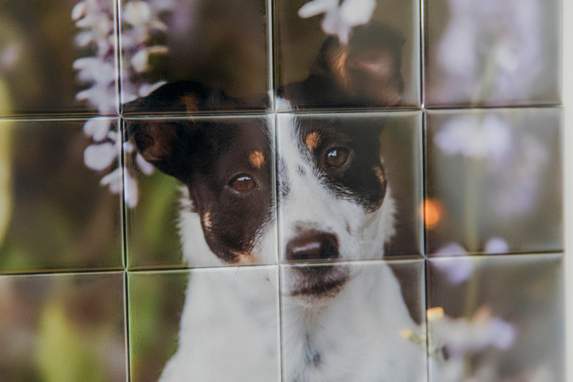 Personalisiertes Foto-Magnet-Puzzle | Deine Wandgalerie im Mosaik-Look