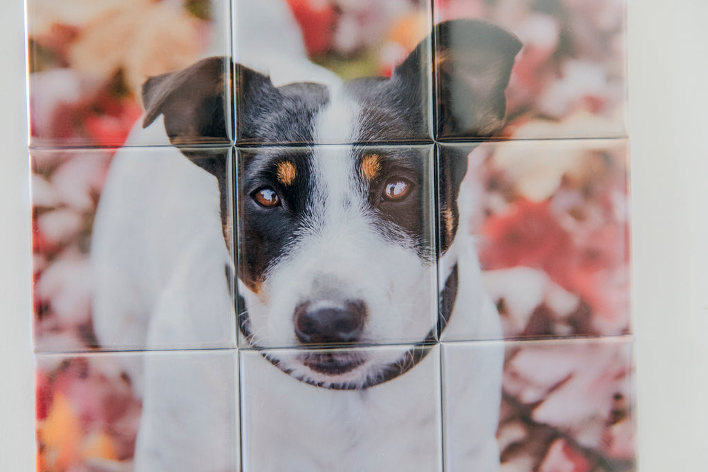 Personalisiertes Foto-Magnet-Puzzle | Deine Wandgalerie im Mosaik-Look