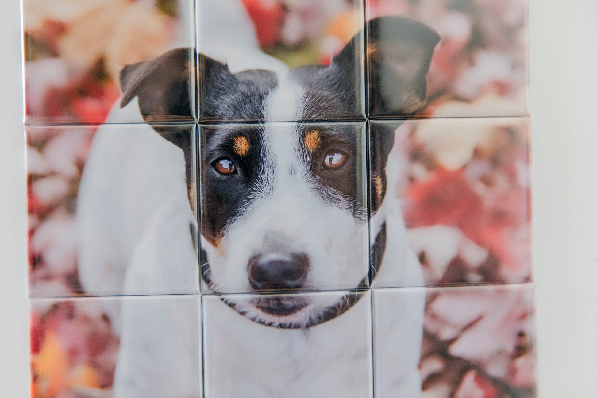 Personalisiertes Foto-Magnet-Puzzle | Deine Wandgalerie im Mosaik-Look